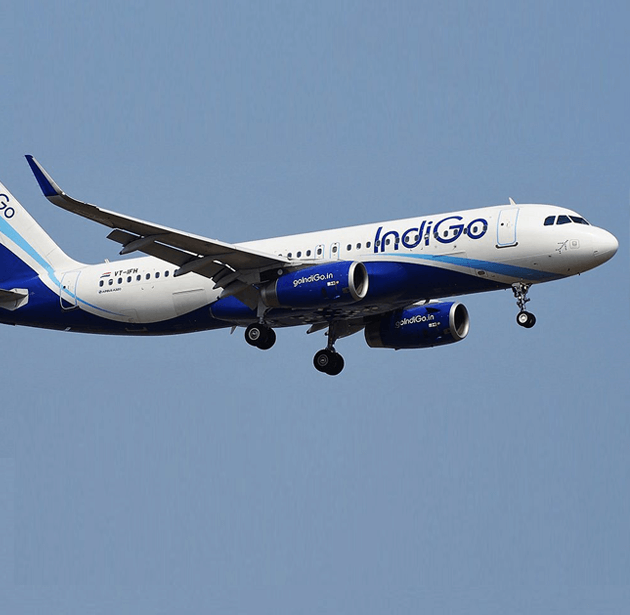 Indigo